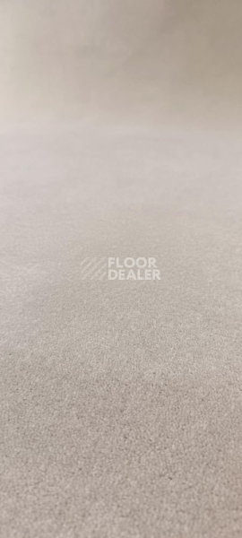 Ковролин Innova Фризе 4003 фото 1 | FLOORDEALER